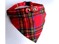 bitte darauf klicken